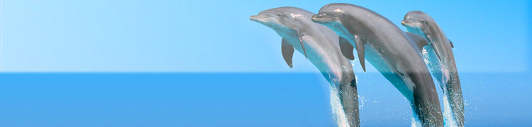 Rosolina Mare (It�lie)